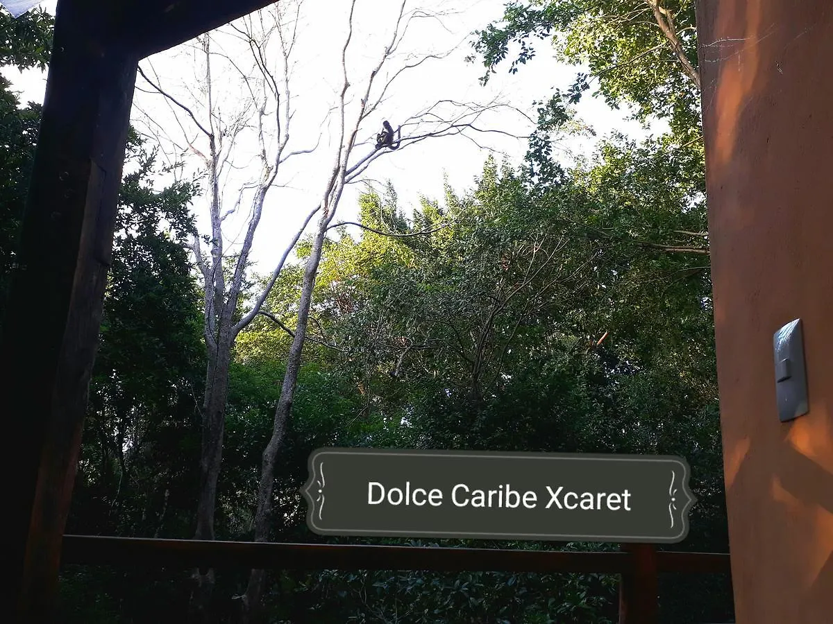 Bed and Breakfast Dolce Caribe Xcaret Playa del Carmen 2*,