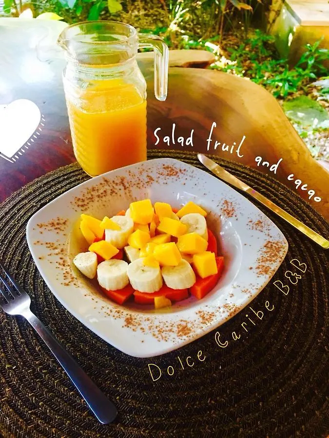 Frühstückspension Bed and Breakfast Dolce Caribe Xcaret Playa del Carmen