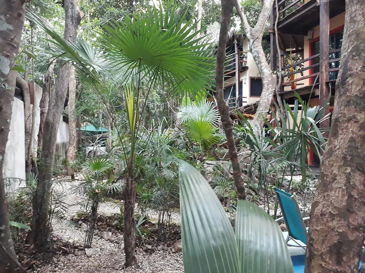 Bed and Breakfast Dolce Caribe Xcaret Playa del Carmen 2*,  Mexiko